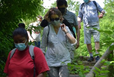 RANDONNÉE MILLE PATTES DANS LA VILLE ET LE PARC - 12 JUIN 2021